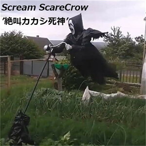 Scream ScareCrow nEB ObY RXvObY sC | | JJV _  H V鎀_ LED ^ lC  fBXvC G fR[V p[eB[ 