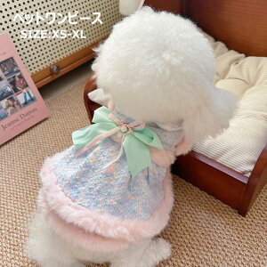 s[XPi pWPbg ~̌̃R[gWPbggybg̕ ybgEFA s[X g hEFA ̃|R|R  H~ hbOEFA ybg 