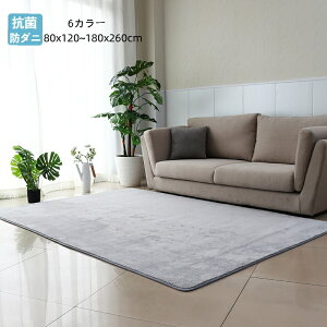 O 􂦂 J[ybg ` 80x120~200×300cm O}bg  k OJ[ybg I[V[Y EHbVu g[Ή イ ~ 唻 ϖ ӂӂ  Q 