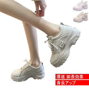 Xj[J[ _bhXj[J[ fB[XV[Y EH[LOV[Y  킢 lC C  Xj[J[ r gAbv  J[t ₷ ~ ʋC t@