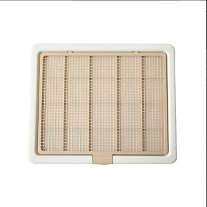 gCg[  ybggC X[p[Ch  gC t`ꂵɂ g[jO ybgg[  gCg[jO