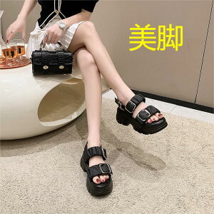  X|[cT_  fB[X T_ 7cm RtH[g T_ r[`T_ y fB[X r[`T_ C C xN Xj[J[ X|[c T_ 