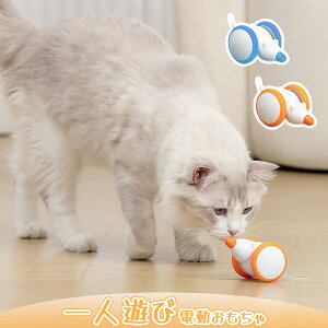 L  ˂  ˂  lY~̖ LEDCgt̂ ^s XgX L̂ USB[d ybgpi 