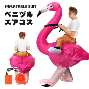 xjd GARX t~S RX`[  nEB NX}X WW[NbL[nEX CŖc  GA[RXv Ct[^uRX`[ ߑ  