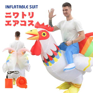 jg GARX { RX`[ `L  nEB WO[ WVbN [h lp CŖc GA[RXv Ct[^uRX`[ eBmTE 