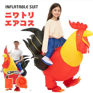 �j���g�� �G�A�R�X �{ �R�X�`���[�� �`�L�� ������� �n���E�B�� �W���O���[ �W�����V�b�N ���[���h ��C�Ŗc��� �G�A�[�R�X�v�� �C���t���[�^�u���R�X�`���[�� �e�B���m�T�E�� �ߑ� ���� 