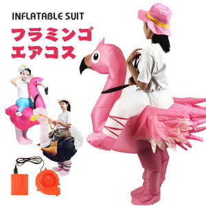 t~S GA[RXv GARX RX`[  nEB NX}X WW[NbL[nEX CŖc xjd  Ct[^uRX`[ ߑ  