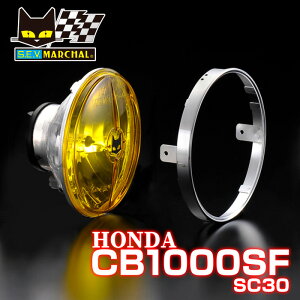 �}�[�V���� ���C�g �z���_ CB1000SF �iSC30�j 722 �E 702 �X�^�[���N�X ���j�b�g �C�G���[�����Y �y���������E���[�J�[���c�E���[�z�@8402