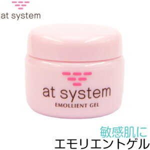 yzFAITH tF[Xr[eB[@N[@ێ@at system@AgVXe@GGgQ@50g