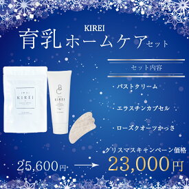 楽天市場 育乳 サプリの通販