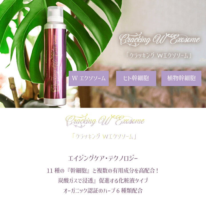 楽天市場】【正規公認代理店】リニューアル版 クラッキングW 