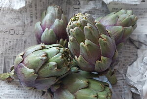 tbV@A[eB[`[NׁII500g@|u[h