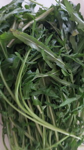 tY@bR@[R@Zo`R@ZoeBJ@200g@ǂI