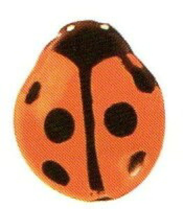 楽天市場 てんとう虫のチョコレート型 オレンジ色 チョコレートを流すだけ 340個分 輸入食材マルシェ