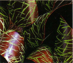 `R[gp@]ʃV[giGu@@΁j125@tXY