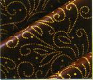 `R[gp@]ʃV[giy@@Fj25@tXY