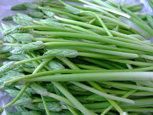 LXⓀ@AXp@\o[WIIՂ600O@itXYj