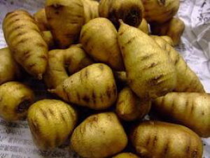 tXY@ZtB[̍@ÂĂ@500g