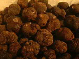 tbVE`xbgY@gt200g@III