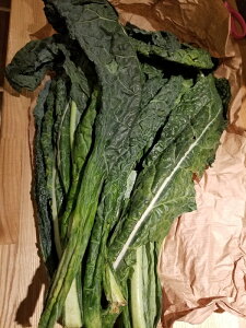 C^AY@J[{EliLxcj500g@2700~/500g@ʂ蔄菤i