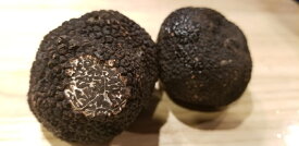 フレッシュ　黒 冬 トリュフ チリ産　約50g〜100g　21600円/50g(税込み）　量り売り商品　毎週末入荷予定　オーストラリア産が出るまで