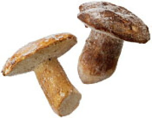 C^AY@Ⓚ|`[j@1Kgîjt@[Xg`CX