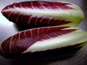 C^AY@fBbLI@vR[`F@500g@3240~/500g@ʂ蔄菤i