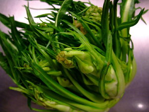 C^AY@v^biv^bj@400g`700g@ʂ蔄菤i@5400~/1kg