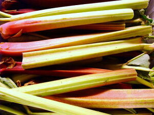 �t�����X�Y�@�t���b�V���@�����o�[�u�i�剩�j���o�[�u�@��1Kg