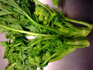 C^AY@`[}EfBEpi`[}@f@pj500g@2200~/500g@ʂ蔄菤i