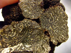 tbV@i~jgt@I[XgAE}W}bvY@100g`150g@34560~/100giō݁j@ʂ蔄菤i@T\@8炢܂ŁB