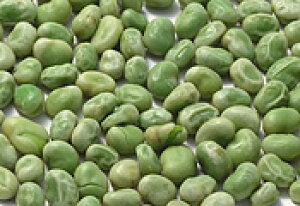 tXY@Ⓚ@\}@1kg@Mς݁@{fG@2025.09{ח\