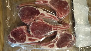 Ⓚj[W[hY@@[X@JbgiqrjV[gCE`bv@@50g×5؂