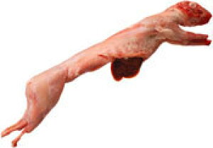 Ⓚ@ETM@p@1H@1.5Kg@ʂ蔄菤i@1H5500~`