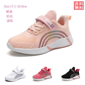 V[Y LbY Xj[J[ WjA q C qC j̎q C ̎q {[CY K[Y X|[c ^ ^C wZ ʊw  y ₷ qǂ ₷ ʋC ~ 