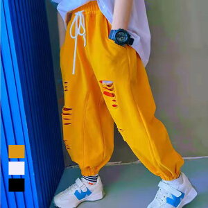 TGpc {gX q j̎q ̎q Y{ Opc jp LbY XEFbg WjA K[Y JWApc IW g[i[ Y{ t  H Rbg