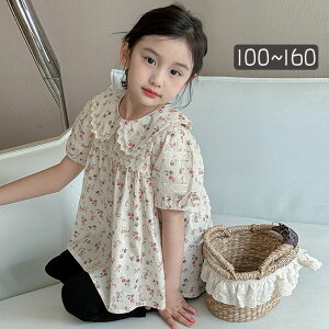 t@bV  q X|[cEFA XEFbg ㉺Zbg ̎q q LbY tVc TVc pc ZbgAbv V[gpc W[W g[i[ 110cm 120cm 130cm 140cm 150c