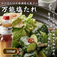 業務用 塩たれ 500ml にんにく ごま油 万能調味料 焼肉 炒め物 冷奴 きゅうり