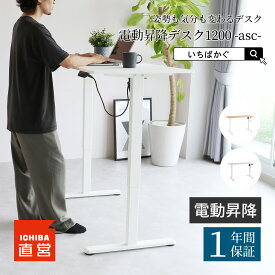 電動昇降デスク 電動 デスク 昇降式 在宅 オフィスデスク ナチュラル ホワイト 昇降 おしゃれ 在宅ワーク 高さ調節 スタンディングデスク パソコンデスク テレワーク ちいくのいちば いちばかぐ 電動昇降デスク［T-3890］