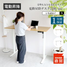 電動昇降デスク 電動 デスク 昇降式 在宅 オフィスデスク ナチュラル ホワイト 昇降 おしゃれ 在宅ワーク 高さ調節 スタンディングデスク パソコンデスク テレワーク ちいくのいちば いちばかぐ 電動昇降デスク［T-3891］