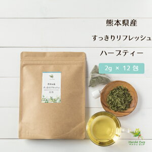 Y OXxyp[~g 胊tbV 12 uhn[ueB[ m~geB[ Y~geB[ OXeB[ n[ueB[eB[obO eB[pbN Yn[