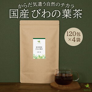 т̗t Y eB[pbN Y 2g×40/120×2/120×4 mт풃 r Yт̗t Yт풃 т풃 Y r̗t т̂͒ f f̗t eB[obO m