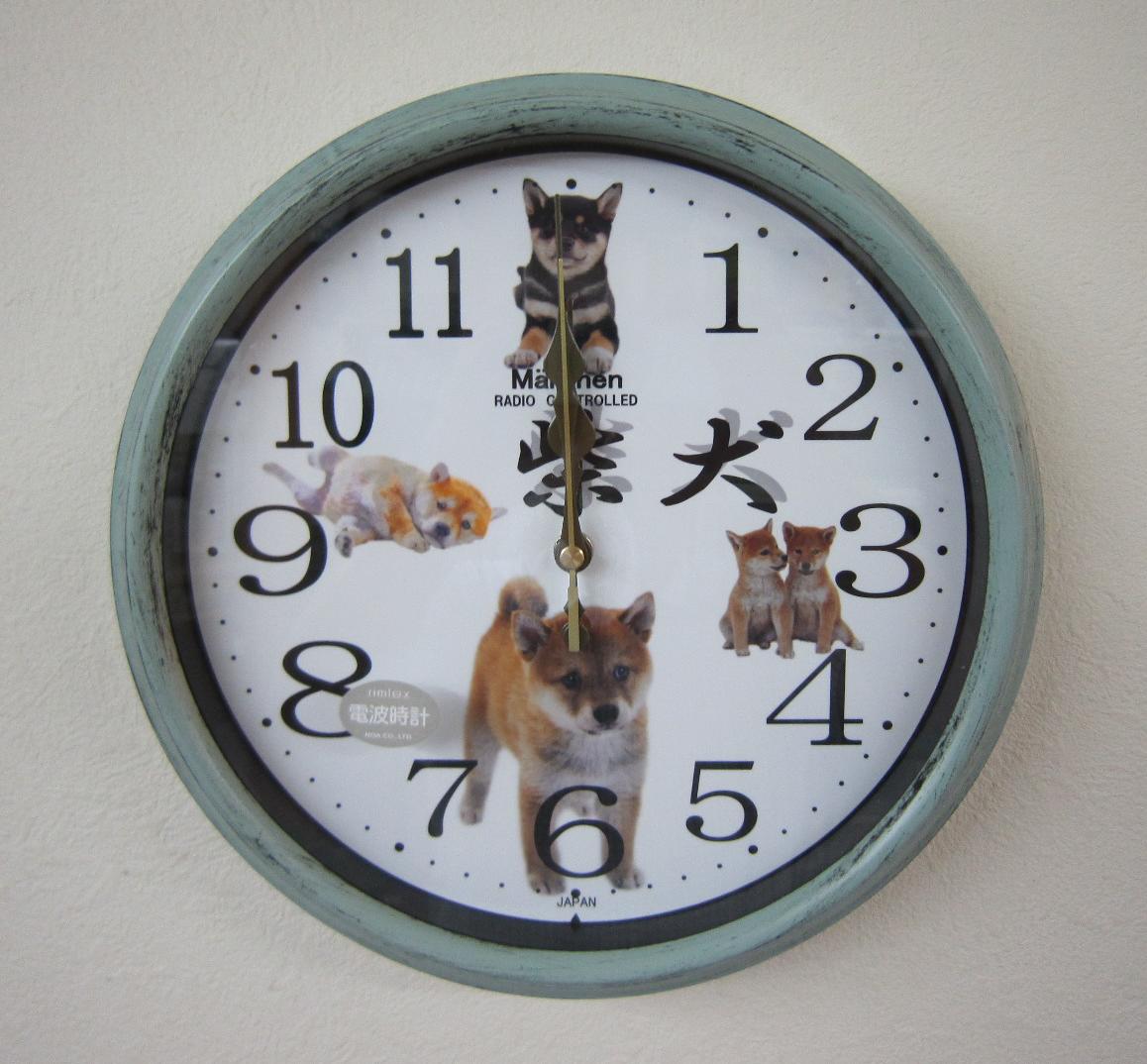 送料込 人気 おすすめ 日本を代表する 柴犬の電波掛け時計です 壁掛け電波時計 アンティークグリーン 直径280ｍｍ×厚み50ｍｍ 柴犬