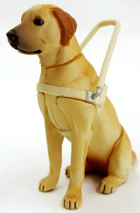 `RGbO ybgRNV 1e wV[Nbg1x uh[go[ ӓ (F) [Cm] (H߁Eg[fBOtBMA)yyΉz