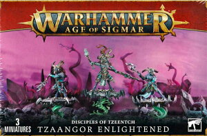 yVizfBTCvEIEeB[`: c@[S[EGCeh (XJCt@C[) EH[n}[ GCWEIEVO}[ (DISCIPLES OF TZEENTCH: Tzaangor Enlightened / Skyfires) (Warhammer 