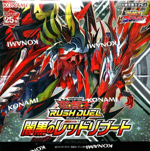 VY bVfG ō̃bhu[g [BOX]