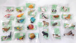 yKiz `RGbO ybgRNV 2e 27Zbg [Furuta] (H߁Eg[fBOtBMA)yyΉz