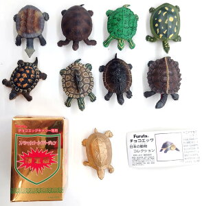 F঒ރJڐ} 8 [Yujin] & `RGbOL[pXyVS[ho[W G}Z}nRK [Furuta] (H߁Eg[fBOtBMA)yyΉz