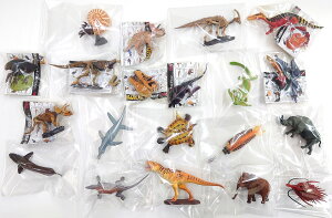 `RUEX EÑ㐶tBMARNV 20Zbg [UHAo] (H߁Eg[fBOtBMA)yyΉz