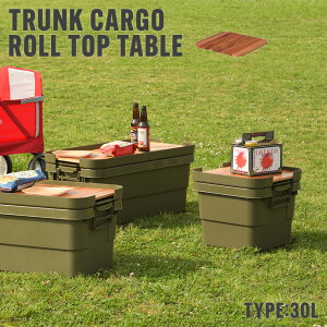 gNJ[Spe[ugbv e[ugbv V 30Lp VR ؐ DIYdグ [ AEghA Lv ނ [obOt ^ i` ֗  ȈՓI g